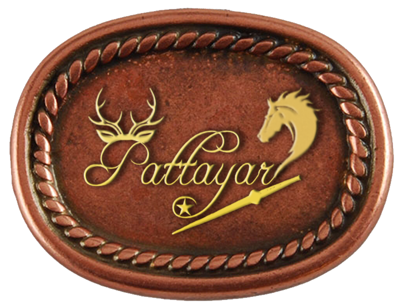 www.pattayar.in